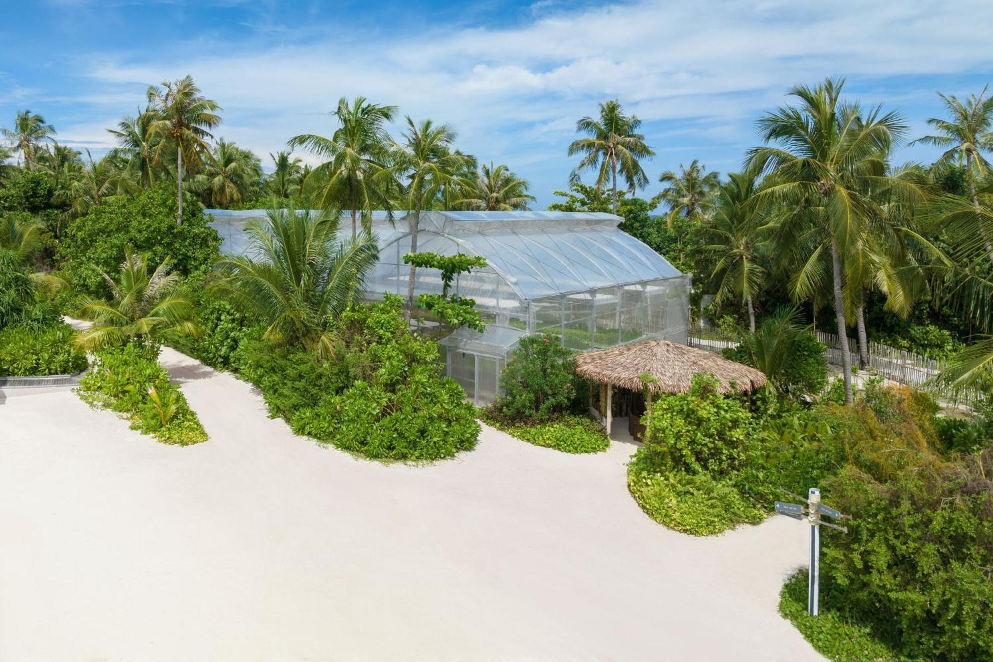 Resort Le Meridien Maldives & 5*